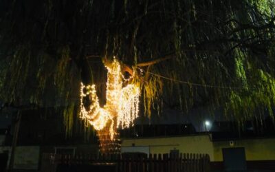 Santa María del Páramo convierte un sauce en un árbol de los deseos para 2021