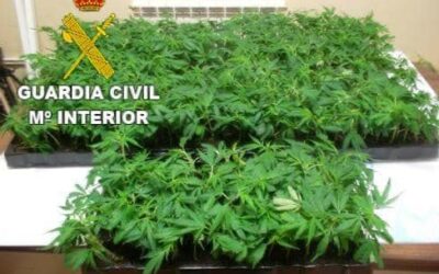 La Guardia Civil desarticula un punto de venta de cocaína y marihuana en La Bañeza