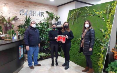 Entregados los premios del Concurso de Escaparates de Navidad organizado por la Concejalía de Comercio y Desarrollo Económico