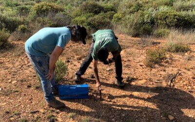 Una investigación de la ULE confirma que la minería romana usó mercurio en Castrocontrigo