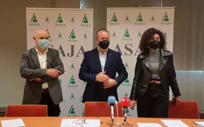 Azucarera abonará a los agricultores la diferencia neta entre el ingreso percibido en la campaña 19/20 y el que habrían obtenido conforme a la antigua oferta comercial tras las peticiones de ASAJA