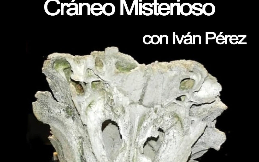Una charla sobre “El cráneo misterioso de Villar de Ciervos” llega a Astorga el 7 de abril