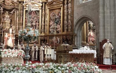 «Santo Toribio brilló con luz propia en defensa de la pureza de la Fe»