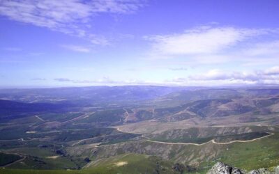 La Junta destina 768.000 euros a la Diputación de León para financiar la contratación en gestión forestal y cuidado del medio ambiente