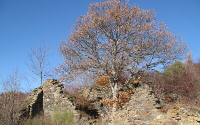 Las inmatriculaciones de la diócesis de Astorga