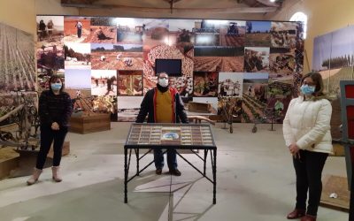 El Ayuntamiento de La Bañeza realizará labores de mantenimiento en la fachada de la sede de la IGP Alubia de La Bañeza y el Museo de la Alubia