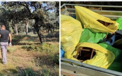 Conciencia y trabajo en equipo contra la basuraleza en el municipio de Valederrey.