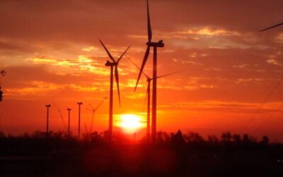 Una decena de colectivos se unen para presentar alegaciones al proyecto eólico ‘Bierzo Wind I Encinedo’