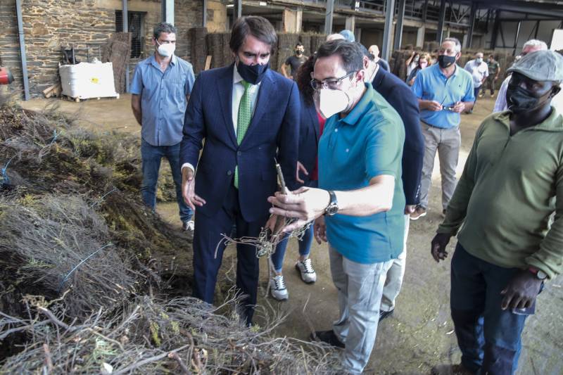 Suárez-Quiñones visita la fábrica de brezo de Brañuelas, una iniciativa de interés para la gestión sostenible de los brezales que contribuye a la reducción de incendios