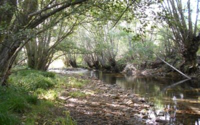 Alta Valduerna pide a las administraciones un mayor control de las “actividades-saqueo” auríferas en nuestros ríos Duerna y Eria