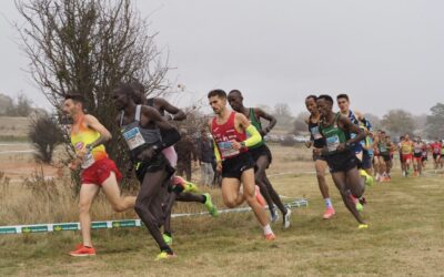 Celada, décimo en el Cross Internacional de Soria