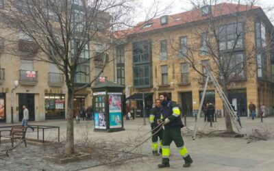 Astorga destina más de 40.000 euros a trabajos de poda y más de 14.000 para las Jaimas de las Ferias