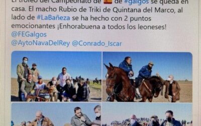 Rubio de Triki de Quintana del Marco le da a Castilla y León el Nacional de Galgos