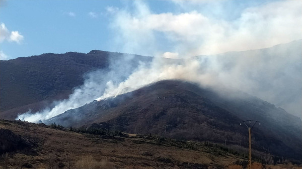 Un incendio calcina 2,5 hectáreas de arbolado en Pozos