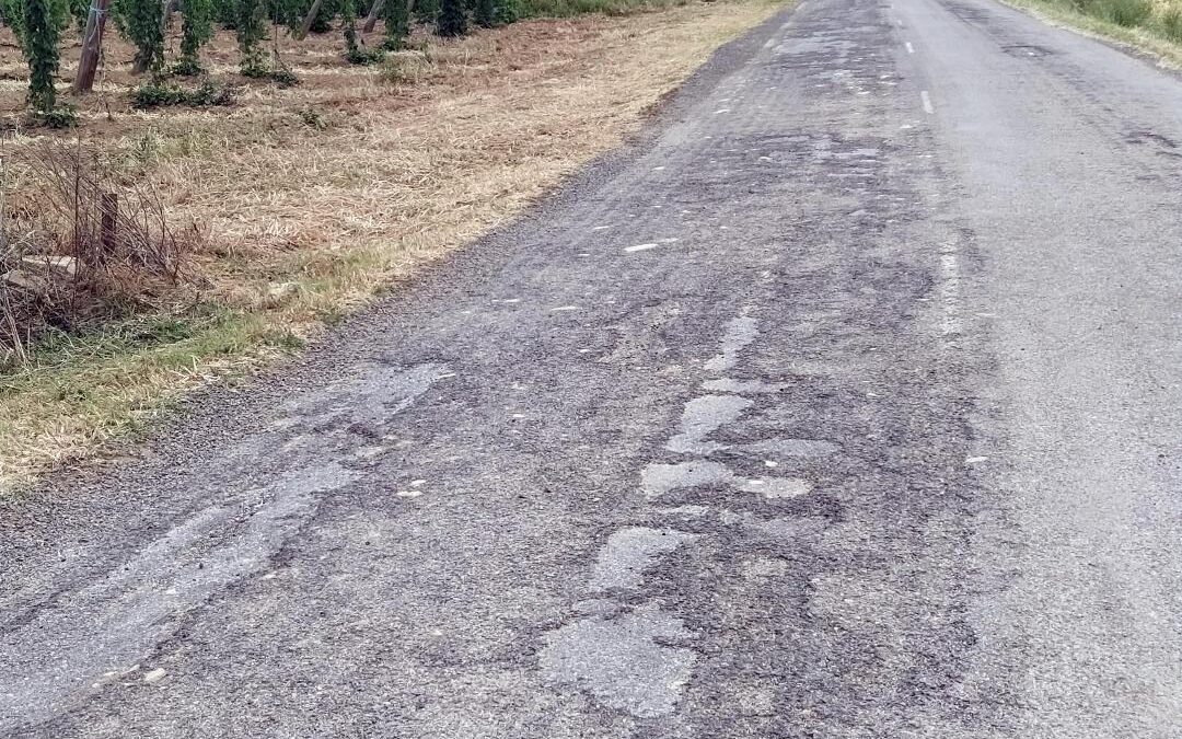 Concejo de la Vega denuncia el mal estado de la carretera de San Román a Astorga