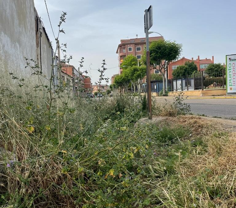 El PP denuncia que “la desidia  y el abandono de la ciudad” desata el descontento de la ciudadanía