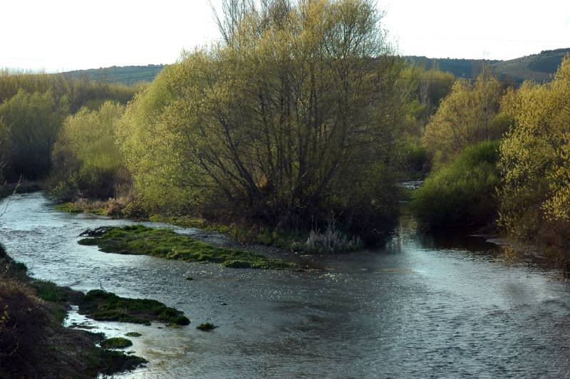 Licitado en casi un millón de euros la redacción del estudio de regulación de la cuenca del río Órbigo y afluentes