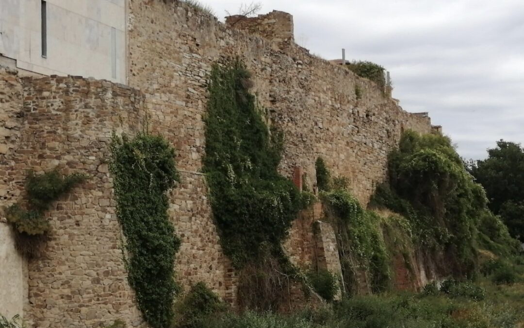 Las brigadas retirarán la maleza de la muralla de Astorga antes de la redacción del proyecto para su restauración