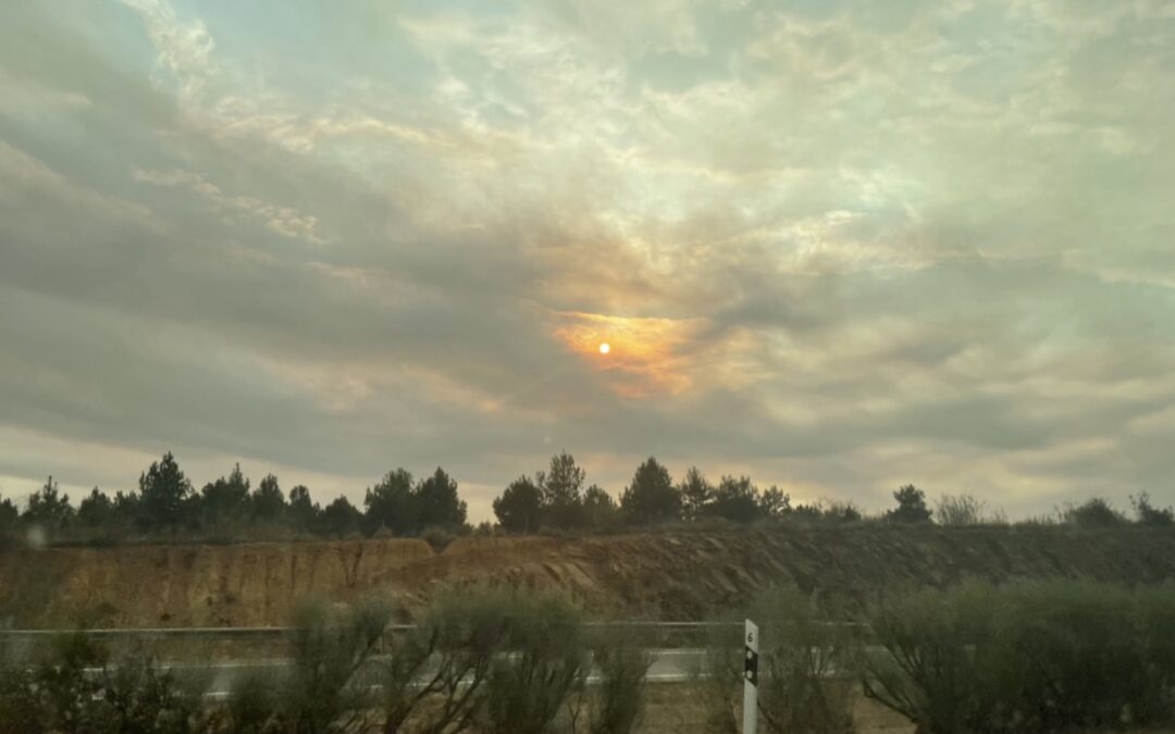 Los incendios del Bierzo y de Tábara dejan una “lluvia” de ceniza en La Bañeza y un cielo plomizo en Astorga y comarca