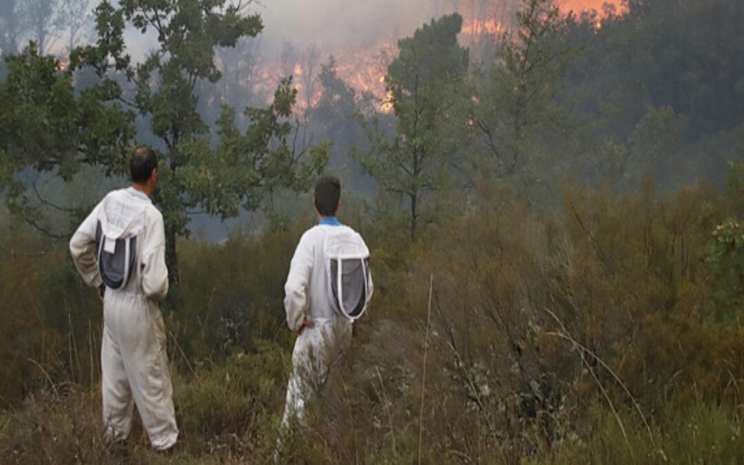 La orografía de Filiel complica los trabajos de extinción del incendio de nivel 2 en el campo de tiro del Teleno