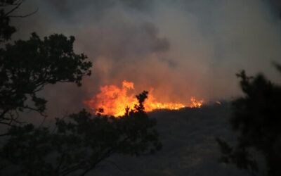 La Junta autoriza una inversión cercana a los 5 millones para actuaciones de naturaleza hidrológico-forestal en masas afectadas por incendios en León y Zamora
