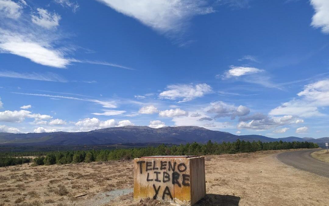 Teleno Libre organiza una marcha hasta el monte de Boisán donde ha plantado cerca de mil árboles desde 2022