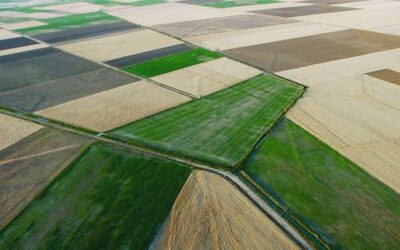 La Junta invertirá 6 millones de euros en obras de infraestructura rural en zonas de concentración parcelaria del Páramo Bajo Secano