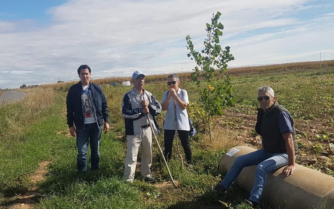 Santa María del Páramo realiza labores de desbroce y  señalización de la Senda a Bercianos
