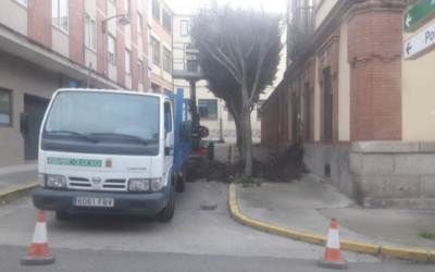 Astorga externaliza la poda y saca a licitación el contrato por 27.442 euros