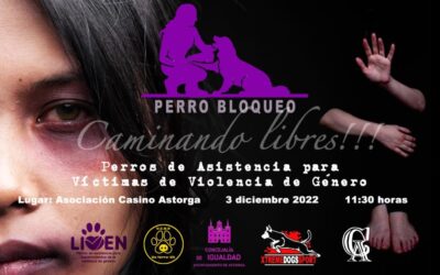 Programa Local Cope Astorga 1 de Diciembre 2022