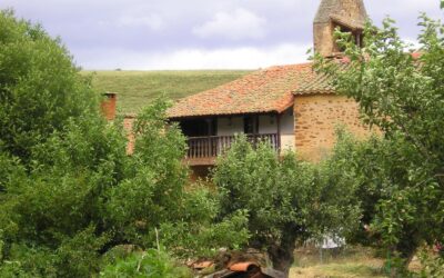 La Junta destina más de 1,1 millones de euros a la mejora de infraestructuras viarias en varias comarcas forestales de León, entre ellas La Cepeda