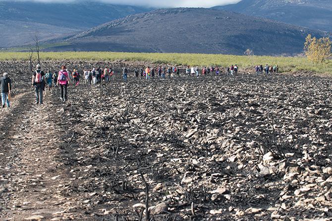 Luyego urge una reunión a la secretaria de Defensa para avanzar en nuevos acuerdos que mejoren la coexistencia del campo de tiro con los habitantes del territorio