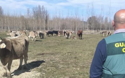 La Guardia Civil detiene a dos personas e investiga a otras dos por la comisión de varios robos y hurtos en explotaciones ganaderas