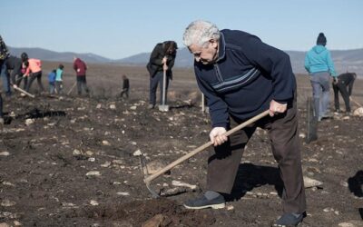 Manos y azadas para repoblar de encinas y castaños el monte de Boisán calcinado por el incendio del campo de tiro