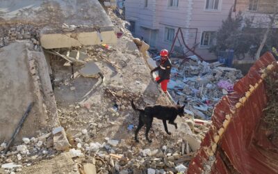 Cáritas Astorga organiza este domingo una colecta especial para ayudar a los damnificados por los terremotos de Turquia y Siria