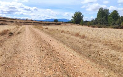 La Junta Vecinal de Piedralba denuncia que el Ayuntamiento de Santiagomillas gaste 76.000 euros en un camino cuando la carretera está en mal estado