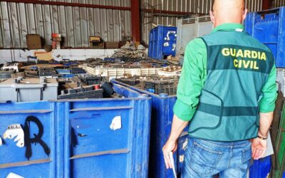 La Guardia Civil detiene a un varón por un delito de hurto en La Bañeza