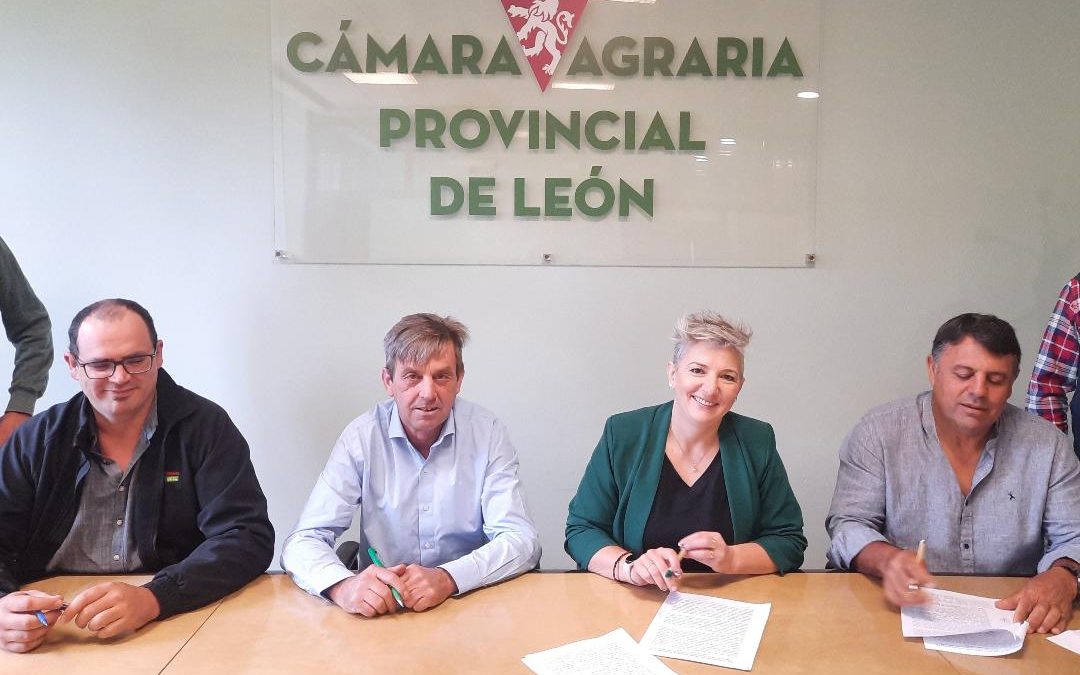 Las organizaciones agrarias de León firman un documento pidiendo soluciones a los problemas del cultivo del lúpulo