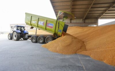 León se afianza como principal provincia productora de maíz en España