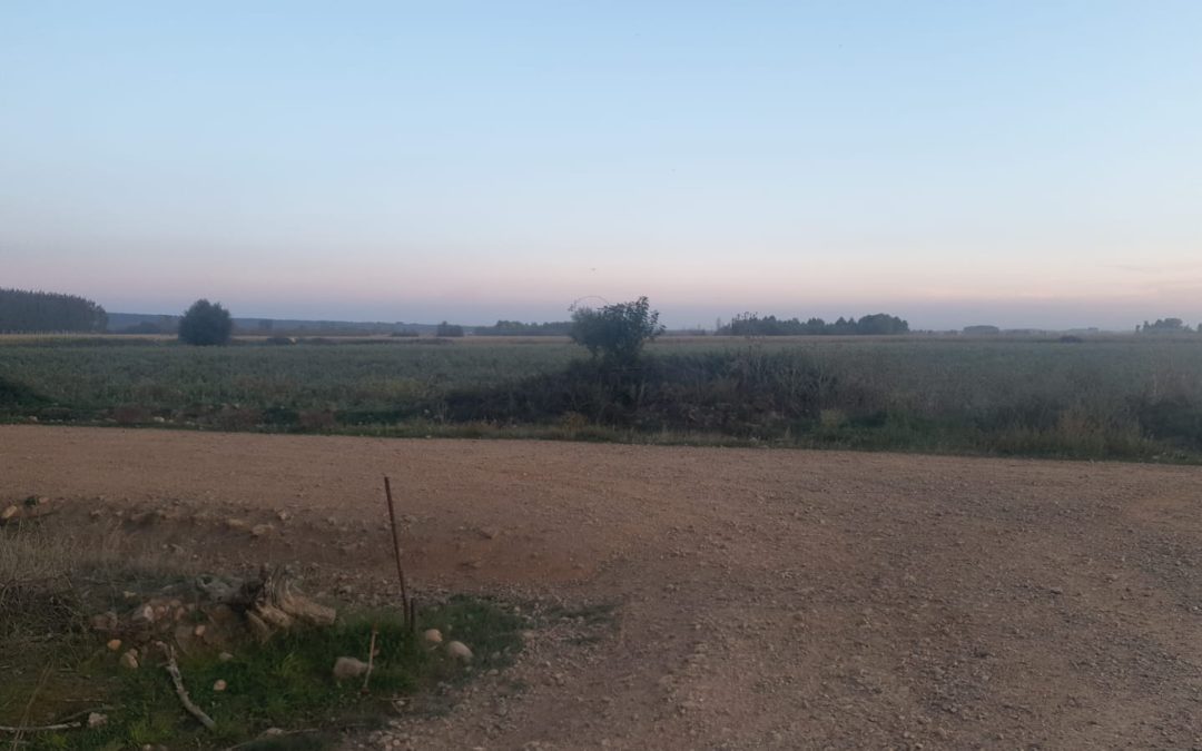 Llamas de la Ribera contará con un nuevo Centro logístico de biomasa forestal tras una inversión de 1,3 millones de euros