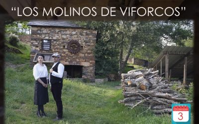 Viforcos inaugura la senda de los molinos con un documental, visita y un vino español