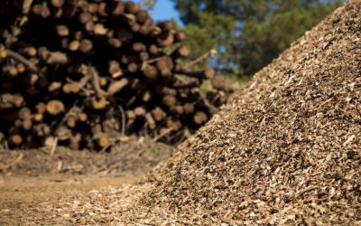 La Junta instalará un Centro Logístico Comarcal de biomasa forestal en Castrocontrigo con una inversión de 742.000 euros