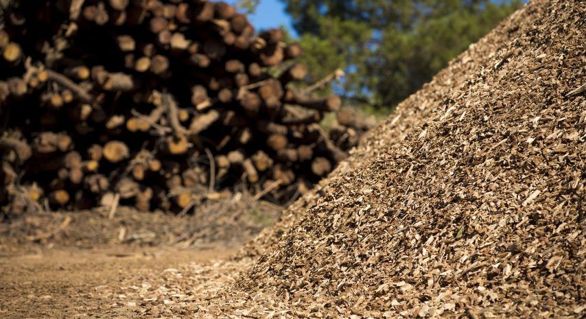 La Junta instalará un Centro Logístico Comarcal de biomasa forestal en Castrocontrigo con una inversión de 742.000 euros