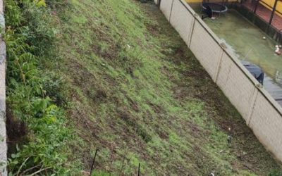 El Ayuntamiento desbroza las fincas aledañas a la muralla en el paseo Blanco de Cela