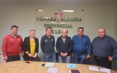 Las organizaciones agrarias profesionales convocan una tractorada en León el 23 de febrero
