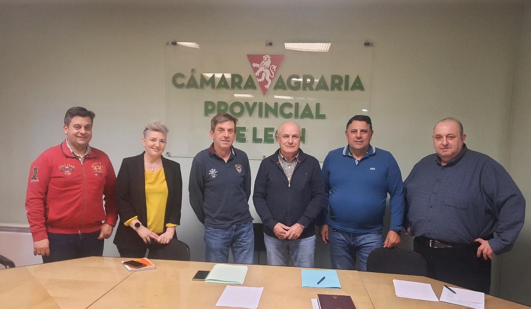 Las organizaciones agrarias profesionales convocan una tractorada en León el 23 de febrero