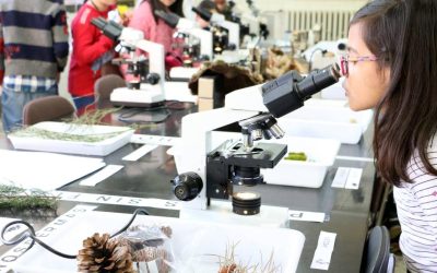 Las actividades de la ULE del ‘Día de la mujer y la niña en la Ciencia’ se acercan a Astorga