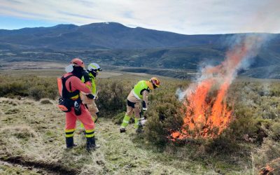 Jornada de fuego técnico en Piedras Albas para proteger una zona de repoblación de pinar