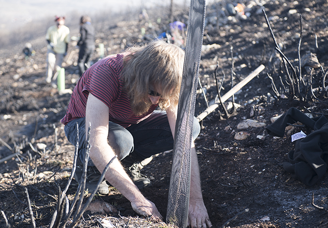Teleno Libre vuelve a la zona cero del incendio del campo de tiro de 2023 para una nueva plantación de árboles