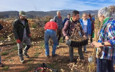 Una treintena de participantes protagonizan la II Plantación ‘Arboles para el Teleno’ con la colocación de más de 200 árboles